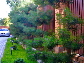 Мини-Отель Внучка