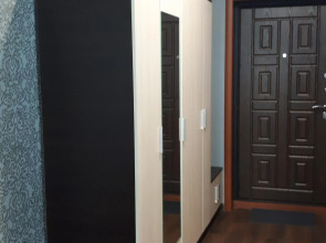 Квартира Апартаменты у Аэропорта Толмачево