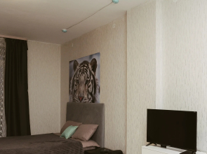 Апартаменты  В Центре Города на улица Революции, д. 52Б