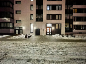 Апартаменты Rauktis City Apartments