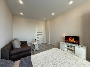 Квартира Добролюбова 16/1