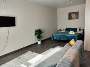 Квартира Студия Майора Филипова 10к2