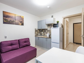 Апартаменты DreamHouse у аэропорта Кольцово