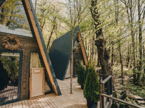 Dzen polyana Glamping