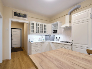 Апартаменты с видом на Неву в центре города