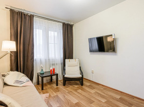 Апартаменты двухкомнатные Stepanenkov на Ипподромской 8