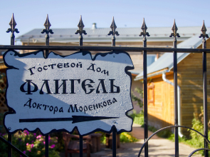 Fligel Doctora Morenko