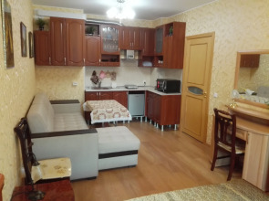 Квартира на Днепропетровской