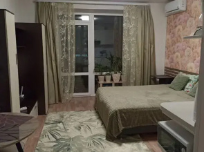 Uyutnaya studiya v tsentre goroda Flat