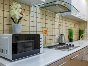 Апартаменты Центральные 1