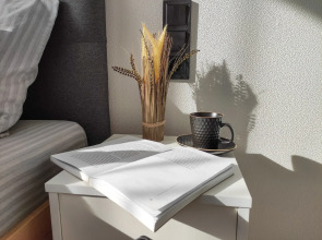 Апартаменты в "IQ Aparts"