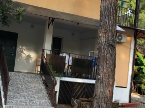 Paradise Villa