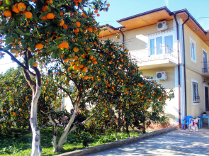 Divny Sad Guest House