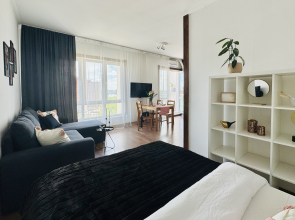 Квартира Студия Atmosfera Sna у Аквапарка