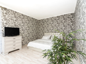 Ogromnaya Studiya Na Myastrovskoy Apartments