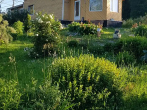 Гостевой дом у Реки с Водопадом