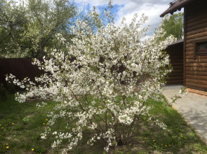Бунгало Домик с Сауной 2