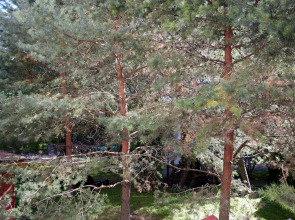 Апартаменты Норд Стар