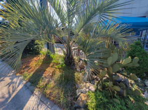 Гостевой дом ArtHome