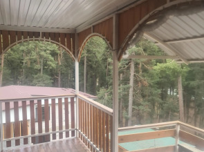 Гостевой дом Сосновый Бор