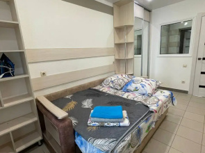 Квартира Вам рады на Горького 244