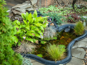 Гостевой Дом Аква-Солярис