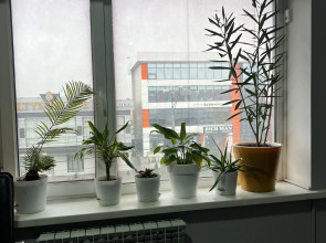 Хостел Капсула Эдем