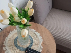 Квартира студия Уютно Всем в центре