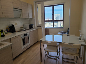 Апартаменты на Фрунзенской с видом на город