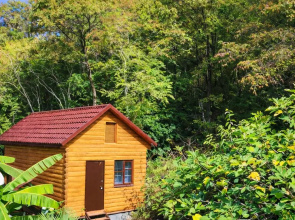 Lesnoy Domik Chalet