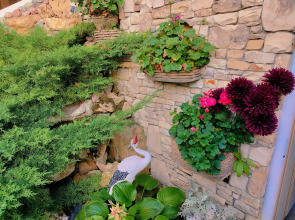 Гостевой дом Анли