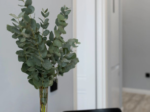 Квартира Атмосферная в ЖК Авиатор