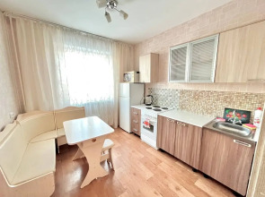 Квартира 1-комнатная улица Партизана Железняка 61