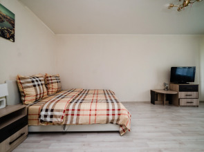 Квартира на Ломоносовском проспекте 41