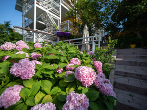 Гостевой дом Желтый