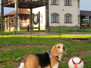 Vorontsovo Mini-Hotel