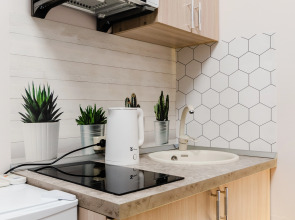 Апартаменты Жуковского 1/2/10 с2 (104)