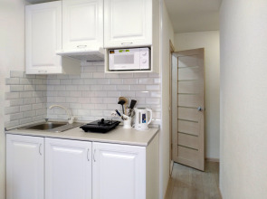 Квартира мини-студия Green Home