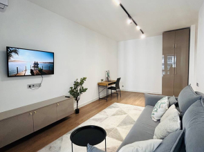 Квартира 2-комнатная с видом на город 33