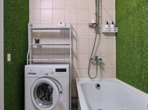 Апартаменты Eco studio