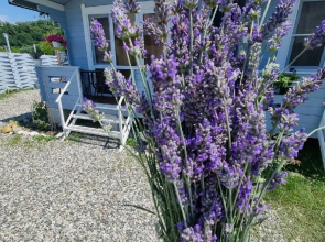 Guest house Villa Lavanda Abkhaziya