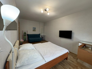 Апартаменты Ветошкина 37