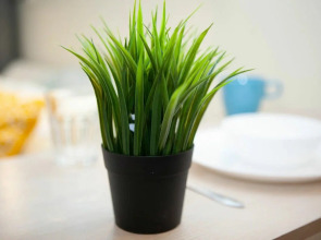 Квартира Сибиряков-Гвардейцев 15/1-3