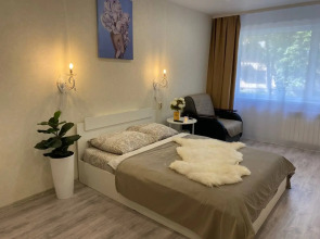 Uyutnaya s vidom na bulvar Pirogova Flat