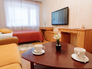 Апартаменты 9 ночей на Чкалова 48