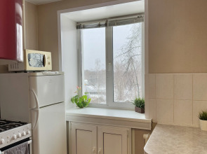 Апартаменты Apart-Comfort на Которосльной Набережной 4