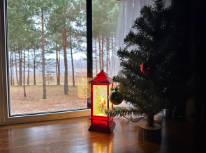 Reo Rest - dom Lesnoye ozero Private house