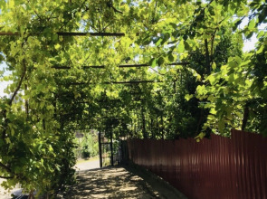 Мини-отель Мандариновый сад