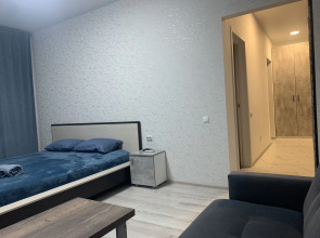 Апартаменты в центре Липецка в доме бизнес класса