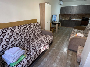 Апартаменты И сон И дом Буачидзе 2/14